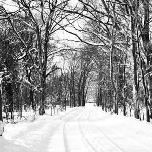 Meet your Posher, Jocelyn